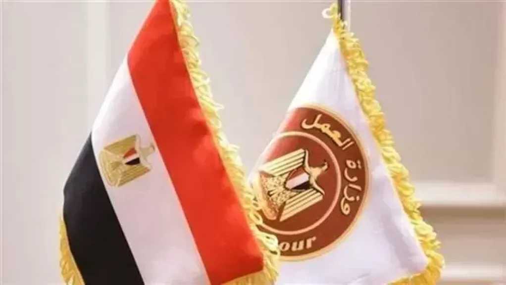 صرف 2 مليون و990 الف للعمالة الغير منتظمة