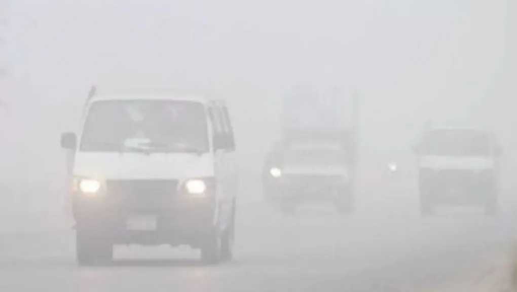 طقس الأربعاء: أجواء باردة والصغرى بالقاهرة 14.. والأرصاد تحذر من شبورة كثيفة