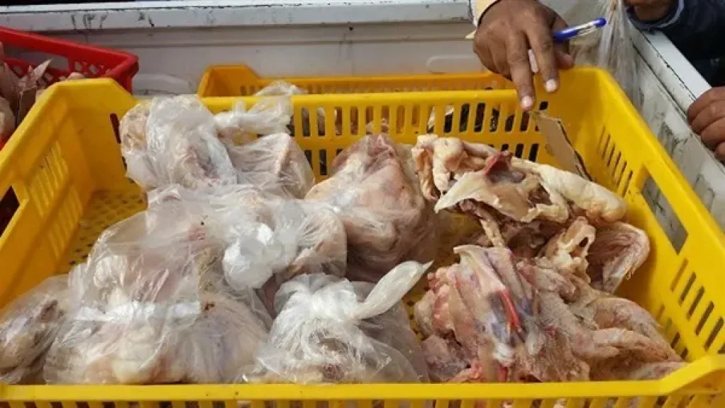 ضبط 150 كجم دواجن غير صالحة للاستهلاك الآدمي داخل محل غير مرخص ببورفؤاد في بورسعيد