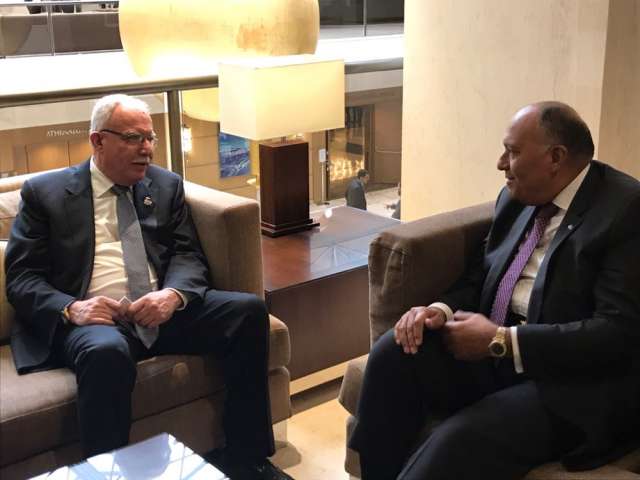 «شكري» يبحث تطورات القضية الفلسطينية مع «المالكي»