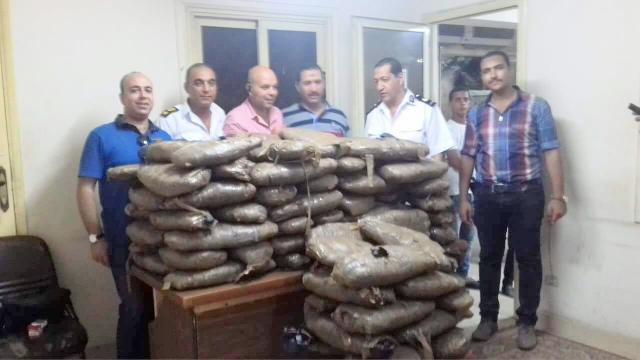 ضبط 300 كيلو جرام  من نبات البانجو المخدر مخبأة داخل معدة ثقيلة