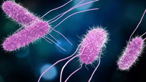 تحذير من سلالة انفلونزا شرسة تتسبب في إصابات حادة بين الأطفال