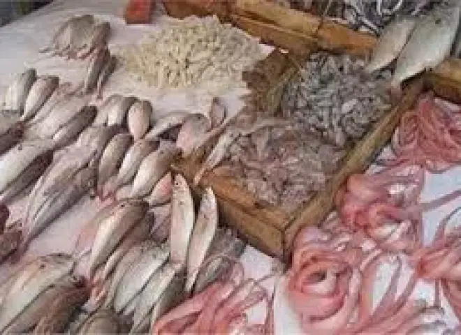 بـ 50 جنيه الكيلو .. مفاجأة في اسعار السمك بالمحافظات بعد تطبيق قرار اسواق اليوم الواحد
