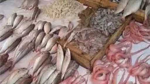 بـ 50 جنيه الكيلو .. مفاجأة في اسعار السمك بالمحافظات بعد تطبيق قرار اسواق اليوم الواحد