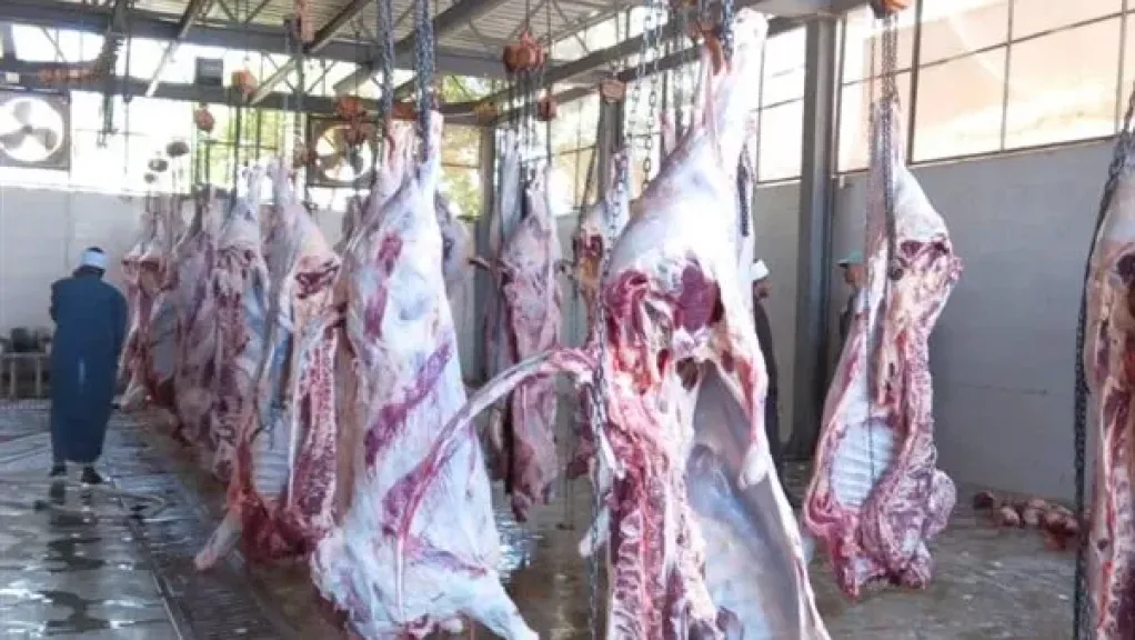 “الأورمان” تطلق صكوك الأضاحي 2026.. دعم جديد للأسر الأولى بالرعاية بجميع المحافظات