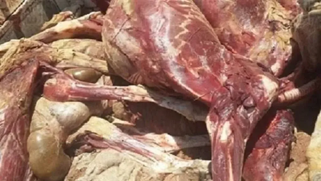 وزارة الزراعة تضبط 209 أطنان من اللحوم والدواجن والأسماك غير المطابقة للمواصفات في يناير