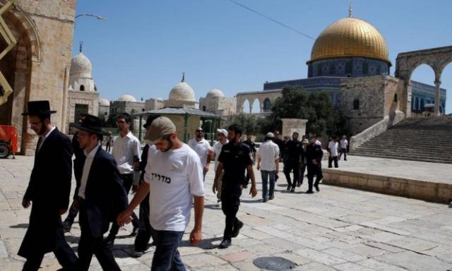 تقرير يكشف انتهاكات الاحتلال الإسرائيلي بحق الشعب الفلسطيني خلال شهر يناير