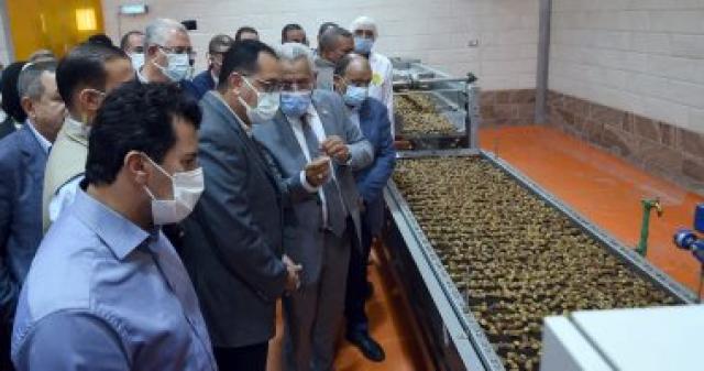 وزيرة الصناعة: نولي اهتماما كبيرا بتنمية قطاع زراعة النخيل وإنتاج التمور في رمصر