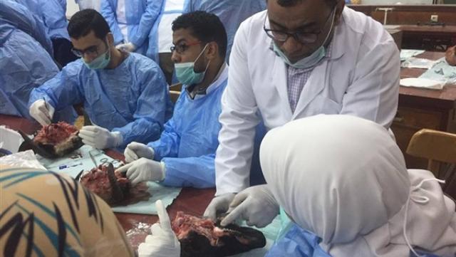 نقتحم عالم «بيزنس الطب» المزعج للمصريين