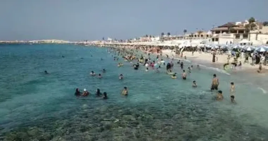 أسباب وقف السباحة في شواطئ الإسكندرية