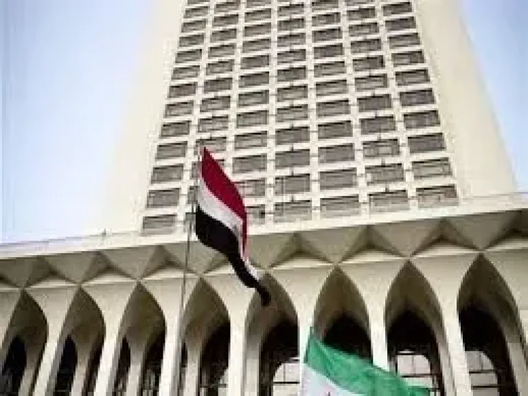 مصر تعلن تضامنها مع الجزائر في مواجهة حرائق الغابات وتنعى ضحايا الحادث