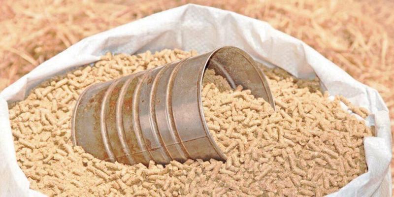 الزراعة: مستمرون في الإفراج عن خامات الأعلاف لضمان استمرار الإنتاج
