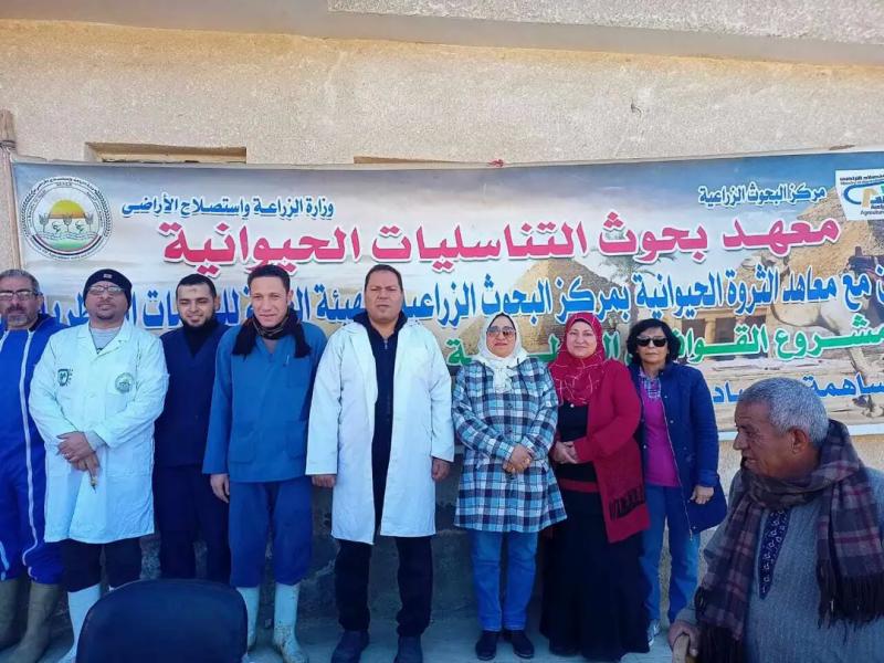 الزراعة؛ معهد التناسليات الحيوانية ينظم قافلة بيطرية مجانية لمحافظة الفيوم