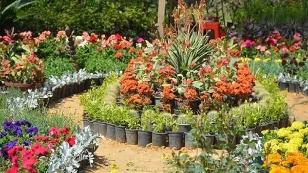 موعد شم النسيم والإجازات الرسمية خلال شهر أبريل 2026