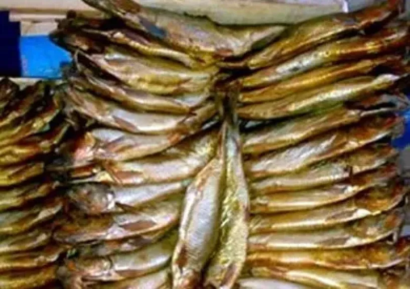 قفزة جديدة في أسعار الفسيخ والرنجة قبل شم النسيم 2026.. والكيلو يصل إلى 700 جنيه