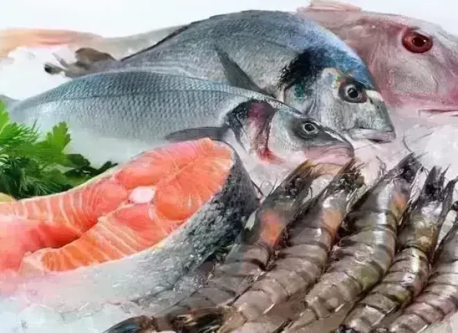 أسعار الأسماك اليوم الثلاثاء 14 أبريل 2026.. الجمبري بكام