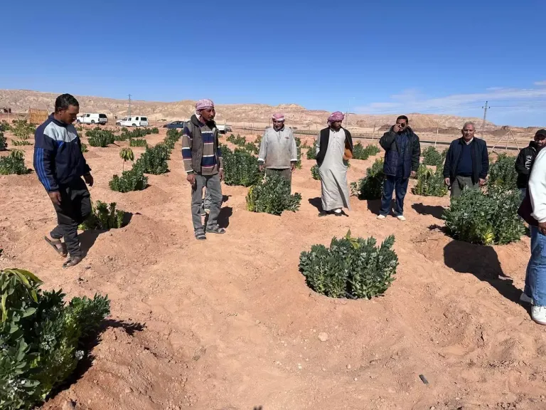 إنجازات مركز بحوث الصحراء في يونيو.. تعاون دولي ومشروعات لحماية المياه والتوسع في الزراعة المستدامة