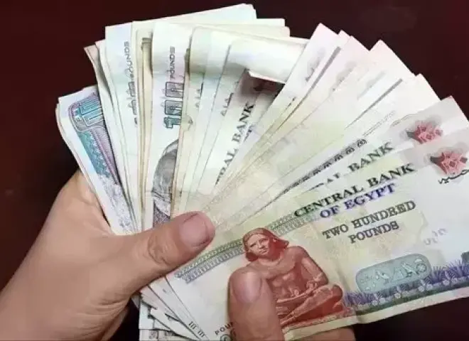 هدية الرئيس.. تفاصيل منحة العمالة غير المنتظمة في عيد الأضحى