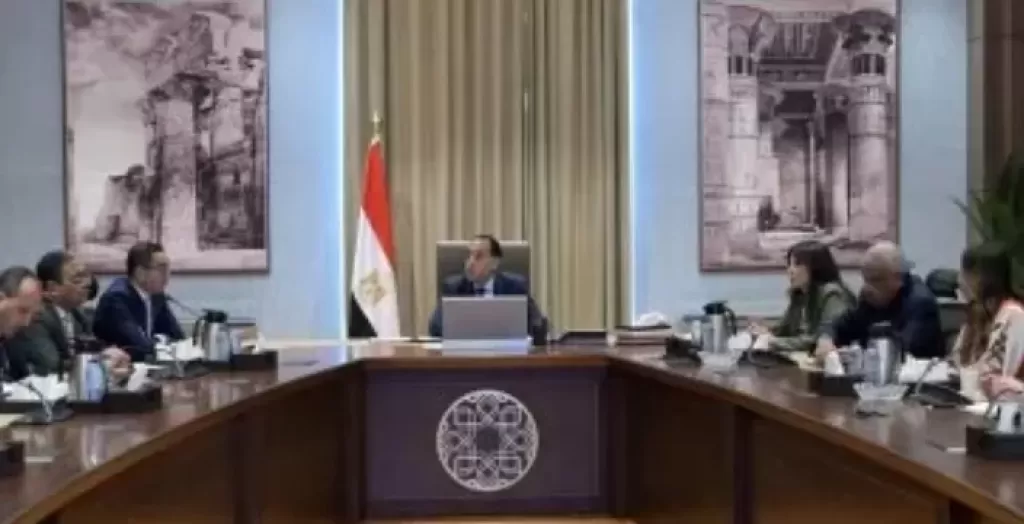 رئيس الوزراء يتابع موقف الطروحات في قطاع الطاقة