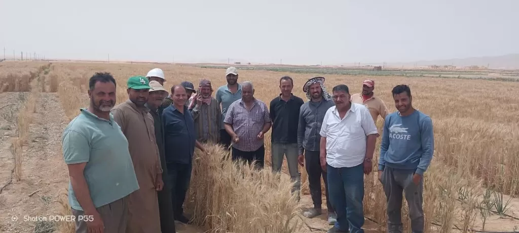 الزراعة تواصل توعية مزارعي سيناء التغيرات المناخية
