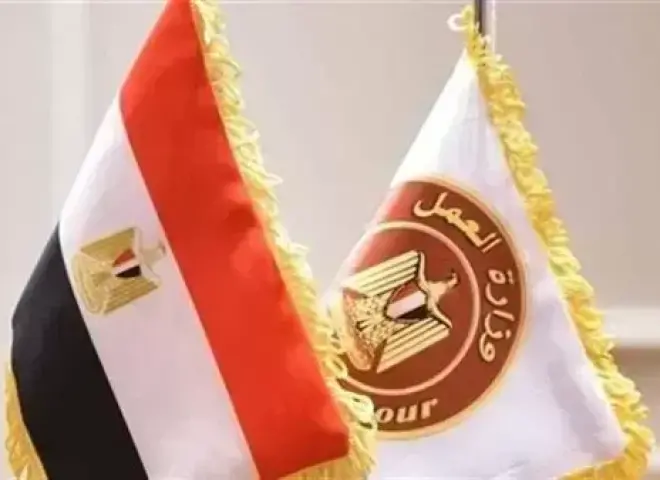 وزارة العمل تكثف المتابعة الميدانية للسلامة والصحة المهنية: تفتيش 896 منشأة خلال أسبوع واحد