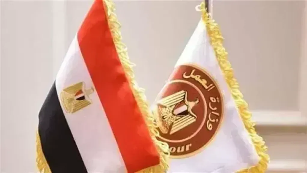 زيادة إعانات الوفاة إلى 300 ألف جنيه لعمال المناجم والمحاجر.. وزير العمل يعلن قرارات جديدة بأسوان