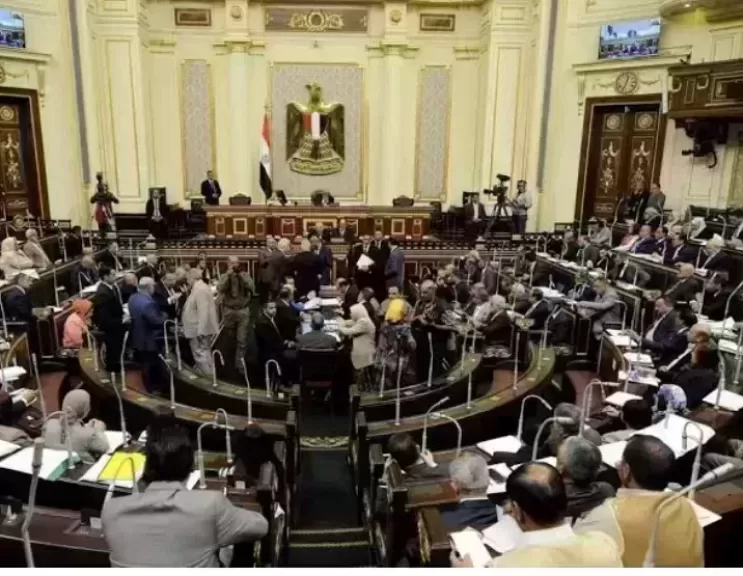 مشروع قانون الرقم القومي الموحد للعقارات أمام البرلمان.. خبير يتحدث عن دوره في تعزيز بيئة الاستثمار