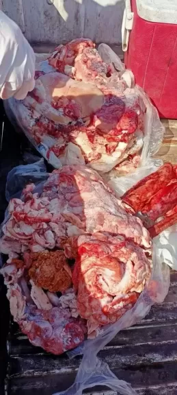 الزراعة: ١٦٠ قافلة بيطرية مجانية والرقابة على أسواق اللحوم وإغلاق ٨٥ مركز مخالف خلال شهر أبريل