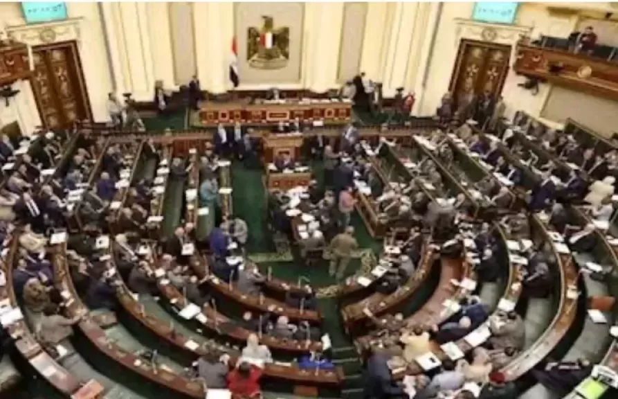 فاطمة سليم في طلب إحاطة: ما حقيقة البنزين المغشوش؟ ومن المسؤول عن تلف سيارات المواطنين وصمت الحكومة؟