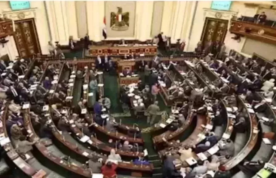 بعد عرضها أمام البرلمان .. تامر عبد الحميد:  خطة التنمية 2025-2026 تعيد الاعتبار للصناعة