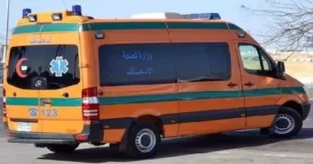 كلب يتسبب فى إصابة سيدة بمدينة 6 أكتوبر