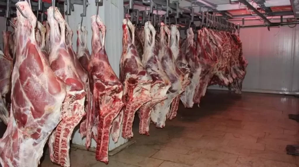 بدء تلقي طلبات الترشح لانتخابات مجلس الشيوخ في مختلف المحافظات