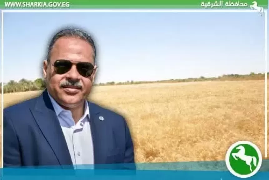 شون وصوامع محافظة الشرقية تنجح في استقبال ٦٠٢٦٧٤طن و٩٢٦ كيلو قمح محلي من بداية التوريد وحتي اليوم