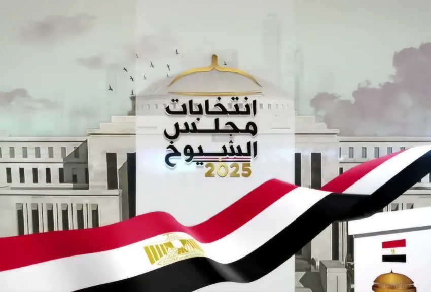 تحالفات القائمة تتصدر المشهد.. كيف تُشكل انتخابات مجلس الشيوخ الخريطة السياسية في مصر؟