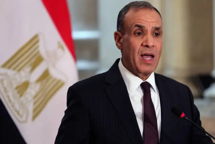 وزير الخارجية: مصالح المصريين بالخارج أولوية قصوى للدولة