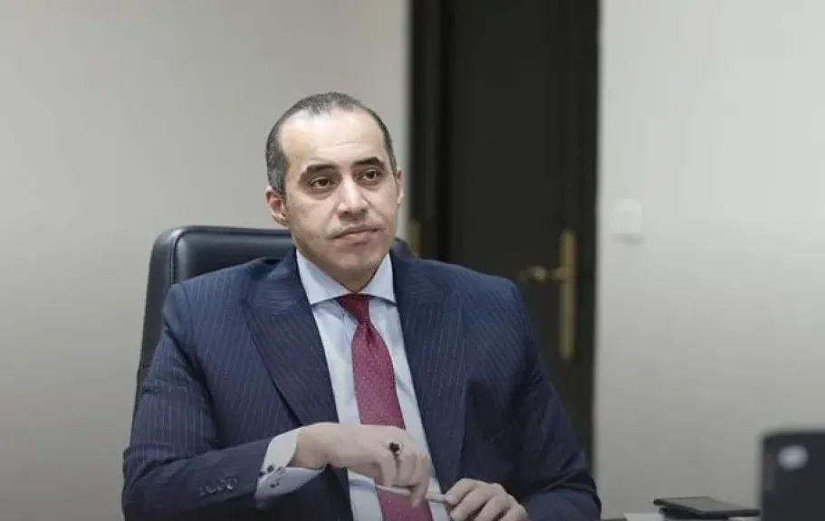 انتخابات مجلس الشيوخ.. المستشار محمود فوزي: لا قيود على المشاركة السياسية