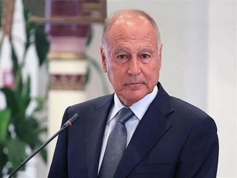 أبو الغيط: حصرية السلاح بيد الدولة سبيل لتحقيق الاستقرار في لبنان