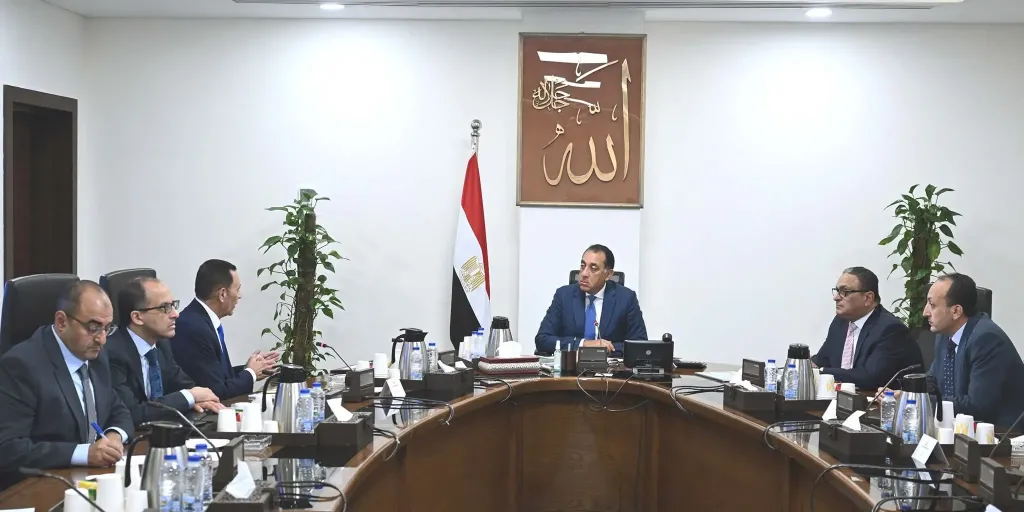 رئيس الوزراء يتابع موقف مشروعات ونشاط شركة ”تنمية الريف المصري الجديد”