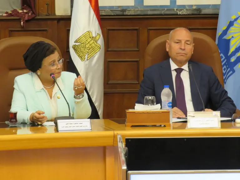 نائب وزير الصحة تشارك في اجتماع المجلس الإقليمي للسكان لمحافظة القاهرة