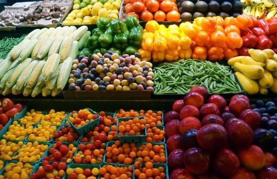 ارتفاع أسعار الخضروات واستقرار الفاكهة اليوم السبت 23 اغسطس 2025