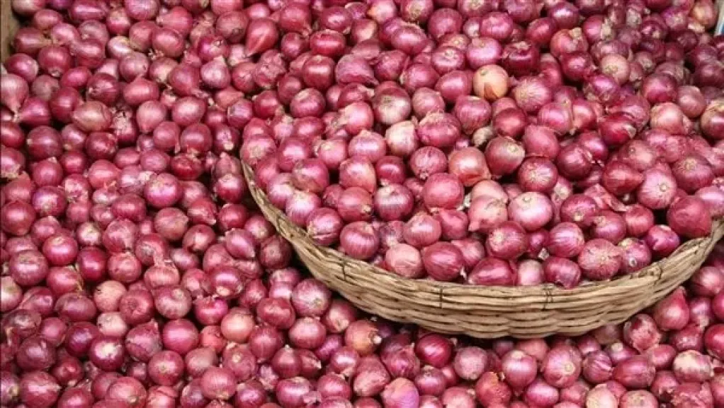 مصر الثالثة عالميا في تصدير البصل المجفف