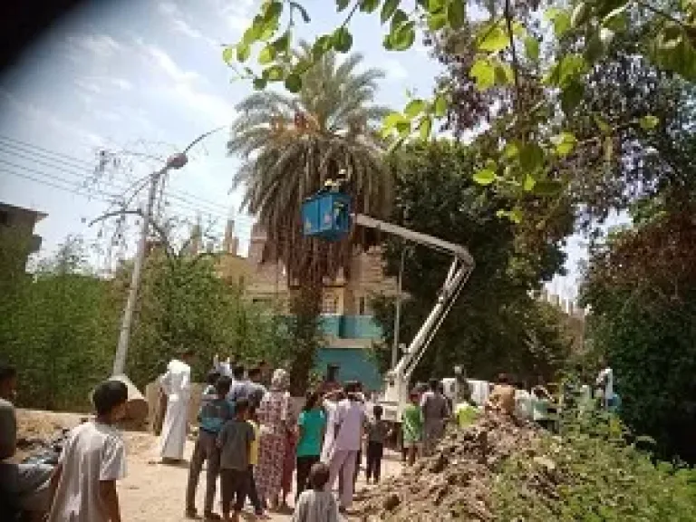 قرد يثير الذعر في قرية الديمقراط بأرمنت.. والحماية المدنية تكثف محاولاتها للإمساك به
