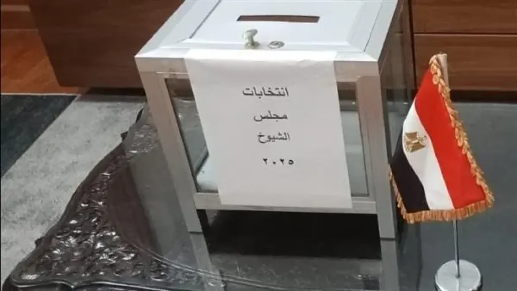 إعادة انتخابات مجلس الشيوخ 2025.. تواصل عملية تصويت المصريين في عدد من الدول بينها 3 دول عربية