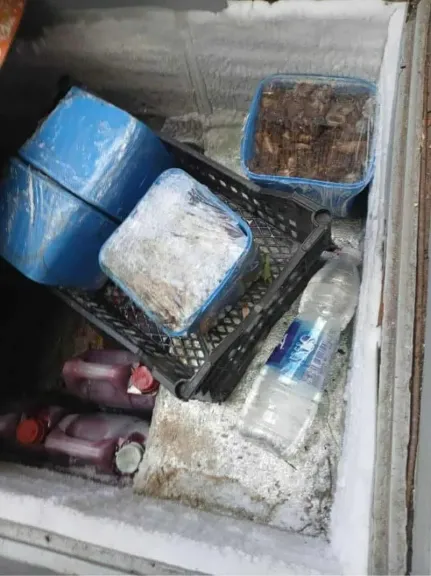المرور على 71 منشأة غذائية وضبط أغذية فاسدة بالقاهرة