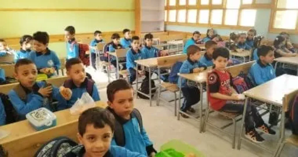 عنصر غذائي مهم جدًا لصحة الأطفال قبل أنطلاق العام الدراسي الجديد .. طبيبة أطفال توضح