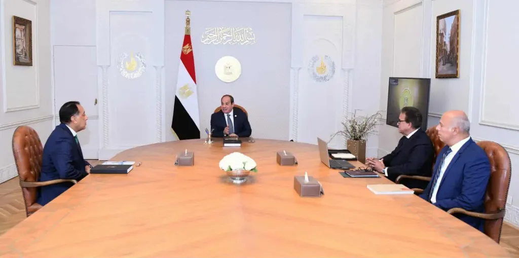 الرئيس السيسي يشدد على دعم الاستثمار الخاص في المجال الطبي وصناعة الدواء