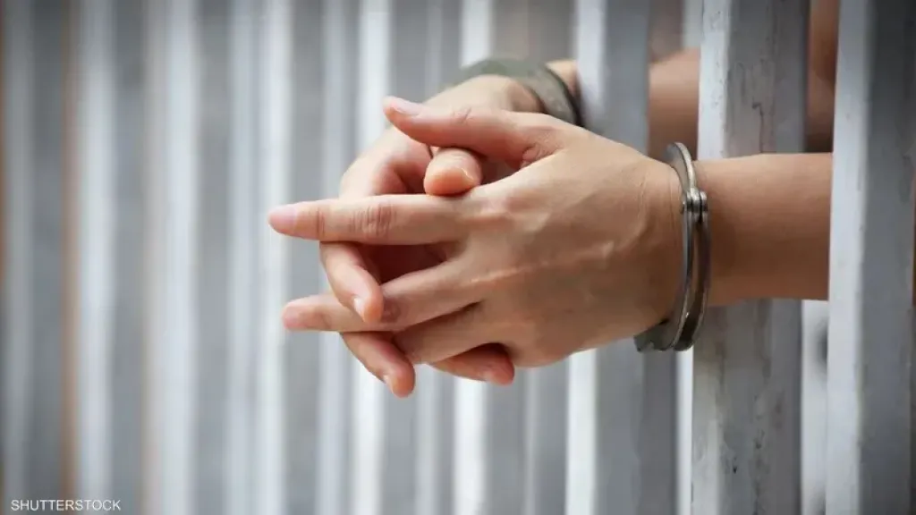 حبس شخص أجبر طفلة على مشاهدة افلام مخلة في شبين القناطر