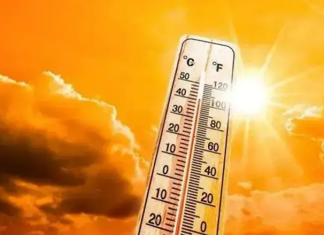 طقس اليوم الأحد.. أجواء حارة نهارًا وشبورة كثيفة تضرب هذه المناطق وتحذير من رياح مثيرة للأتربة