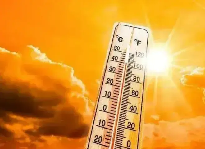 انخفاض طفيف في الحرارة غدًا وأمطار ورياح مثيرة للرمال.. الأرصاد تكشف تفاصيل طقس الأحد