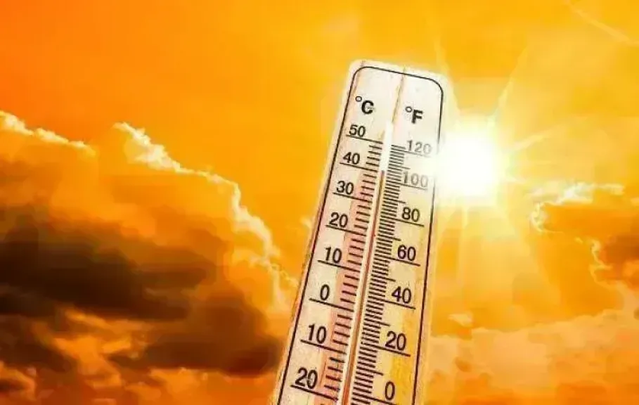 طقس شديد الحرارة اليوم.. الأرصاد تحذر من رياح مثيرة للأتربة وشبورة صباحية على هذه المناطق